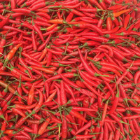 辣椒